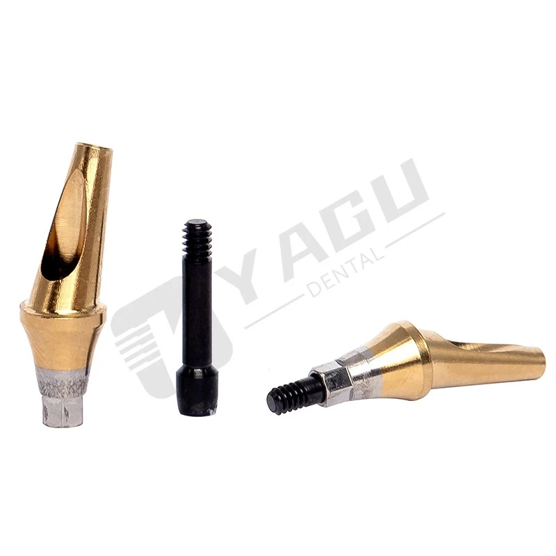 angulated abutment for implants